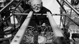 Dr. Priv. Doz. Barbara Niehoff